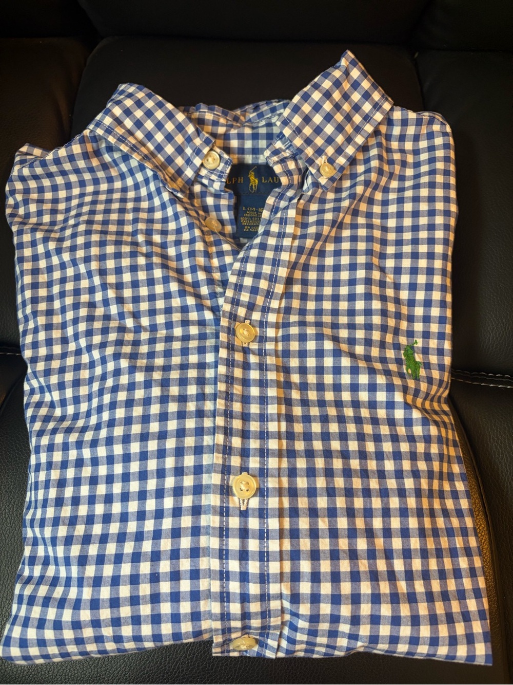 Ralph Lauren Blue and White Gingham Button-Down Shirt